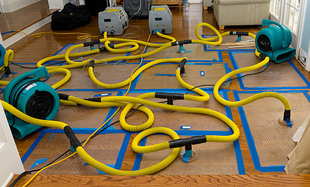 Professional Flood Damage Restoration technician working in Bernardston, MA